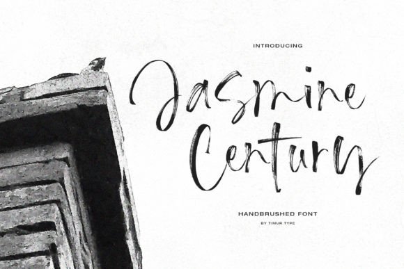 Discovering the Delicate Charm of Jasmine Century